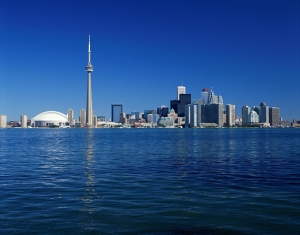 Web Site Hosting and Management